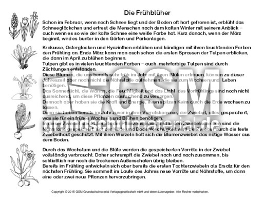 Abschreibtext-Frühblüher-SW.pdf